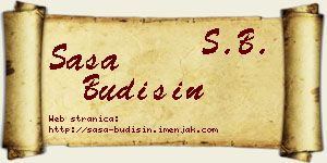 Saša Budišin vizit kartica